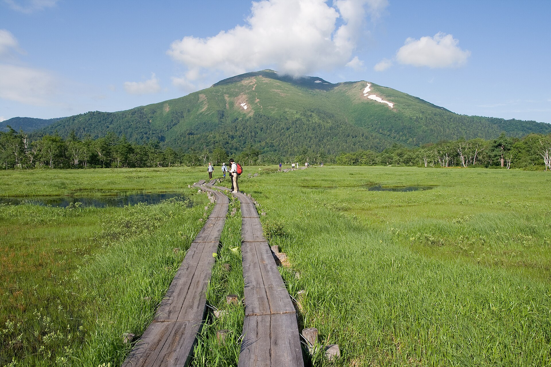 尾瀬ヶ原の木道と至仏山（初夏）