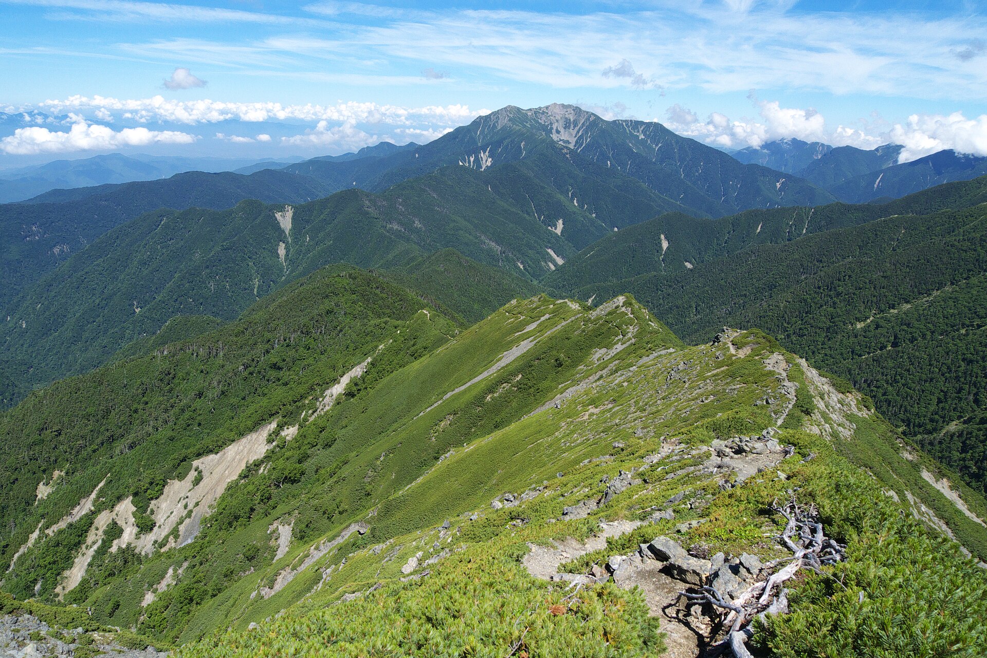 南アルプス・仙塩尾根の稜線の登山道